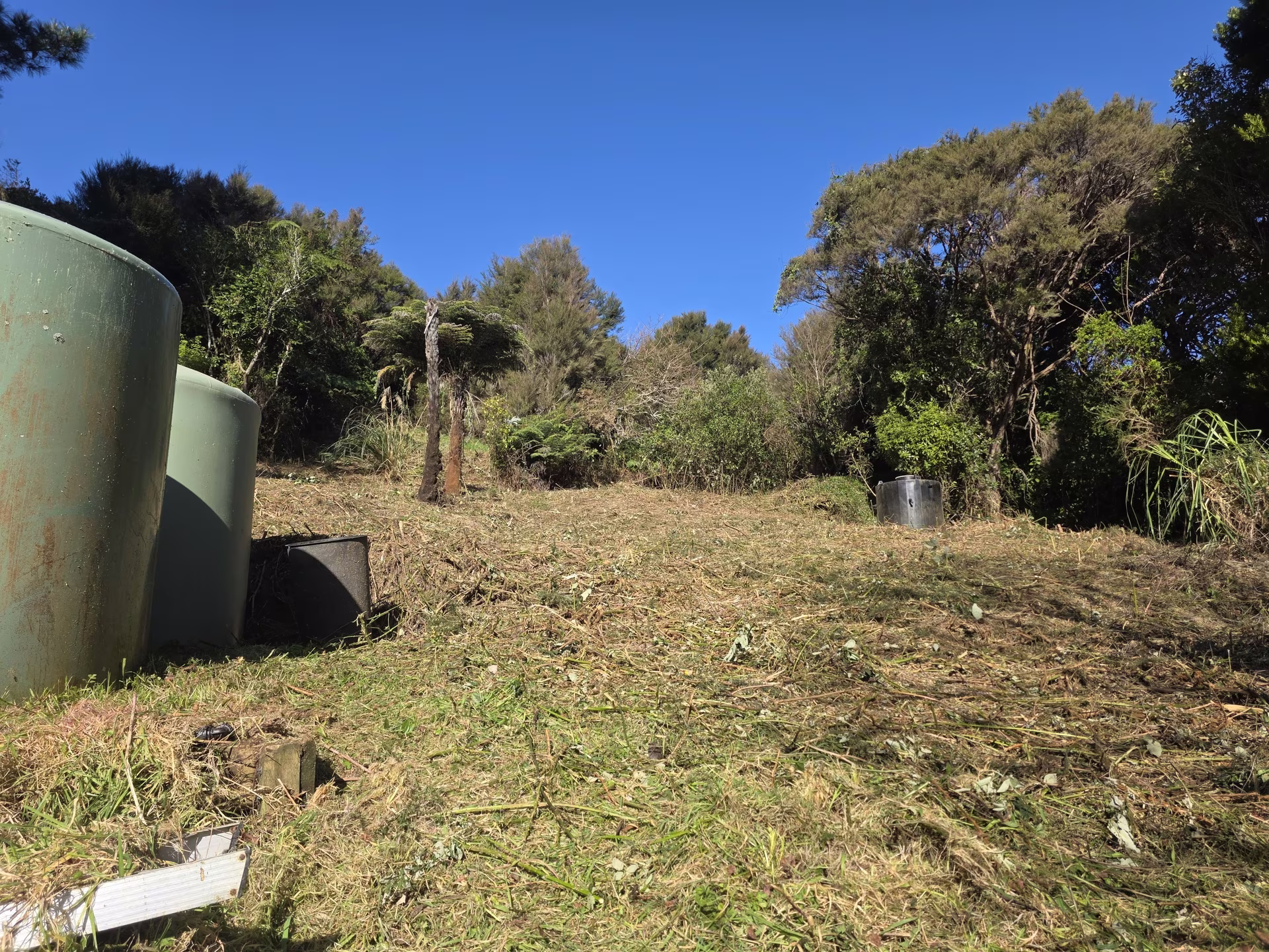 The area around the water tanks after blackberry and scrub clearing
