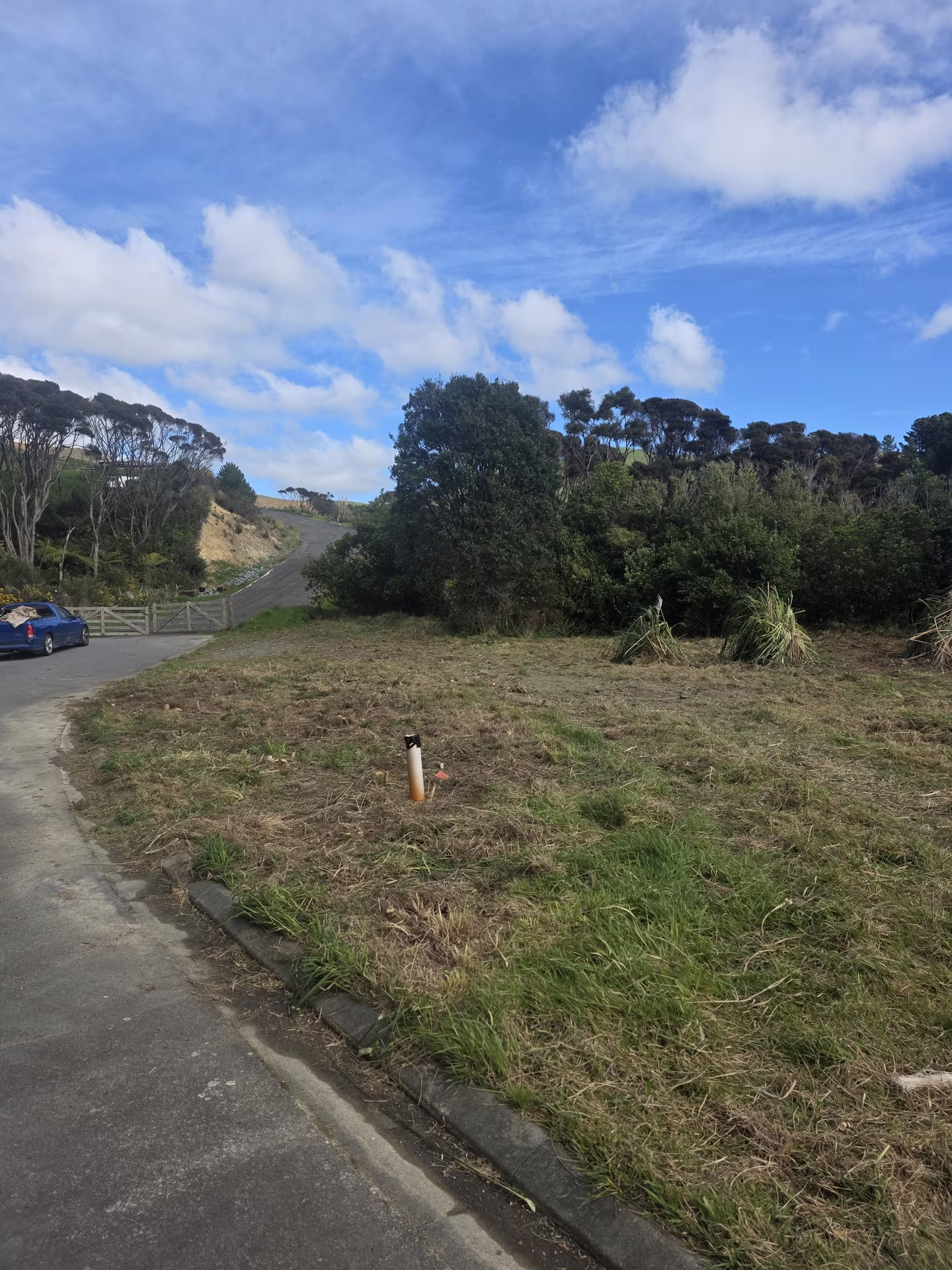 The same entrance area after the gorse has been cleared