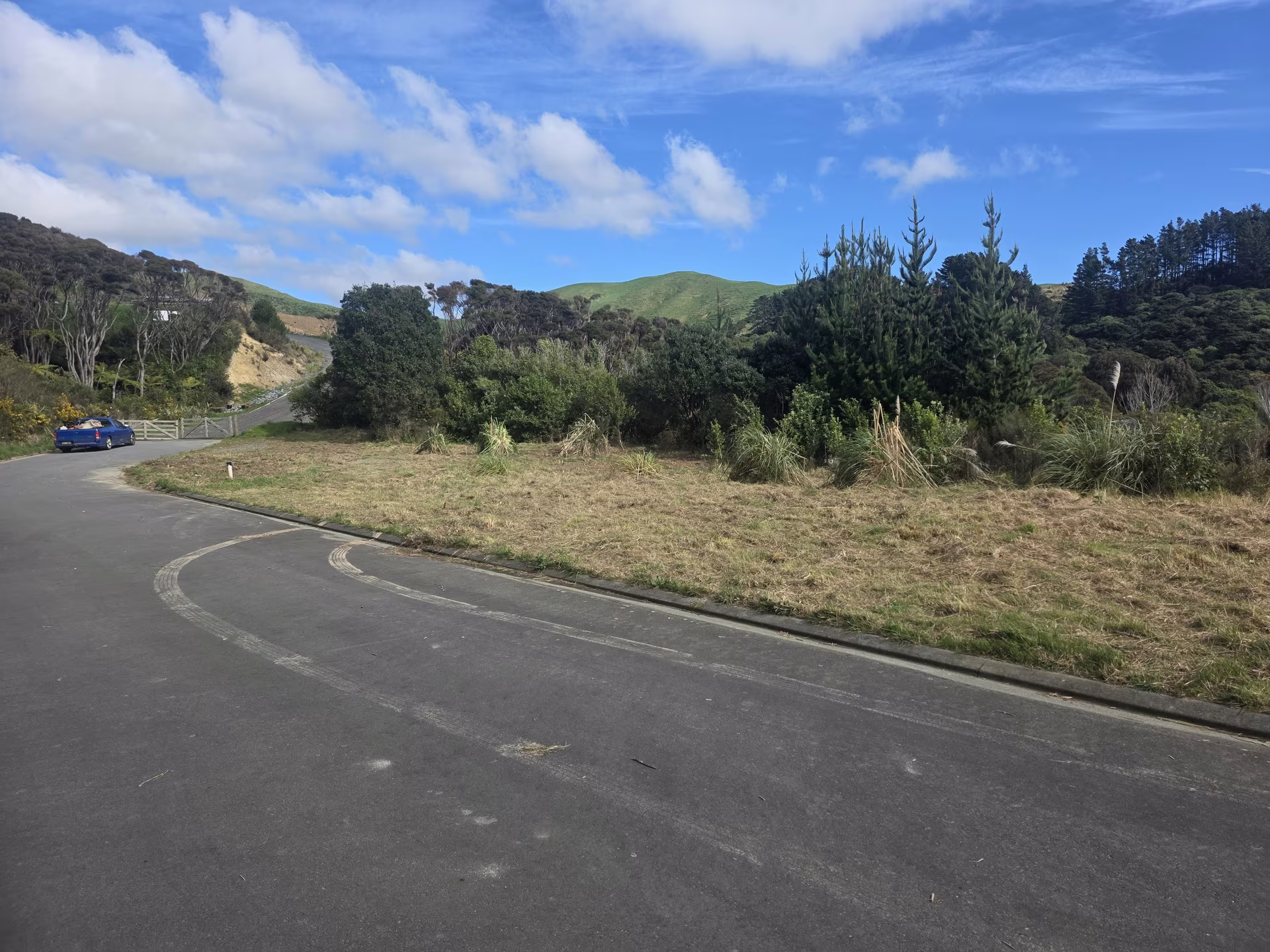 The same roadside verge after the gorse and long grass have been cut back